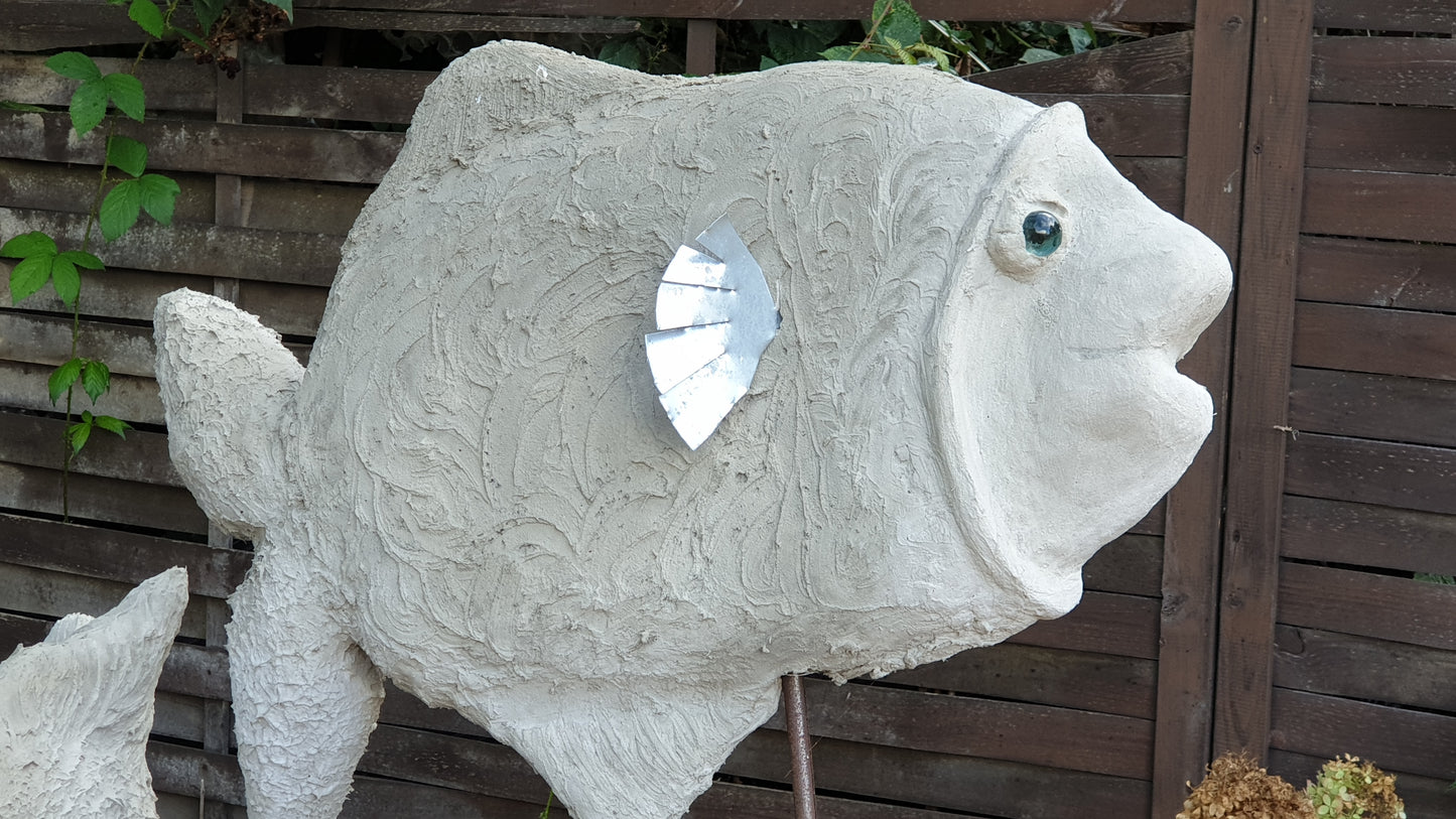 Kurs Fisch