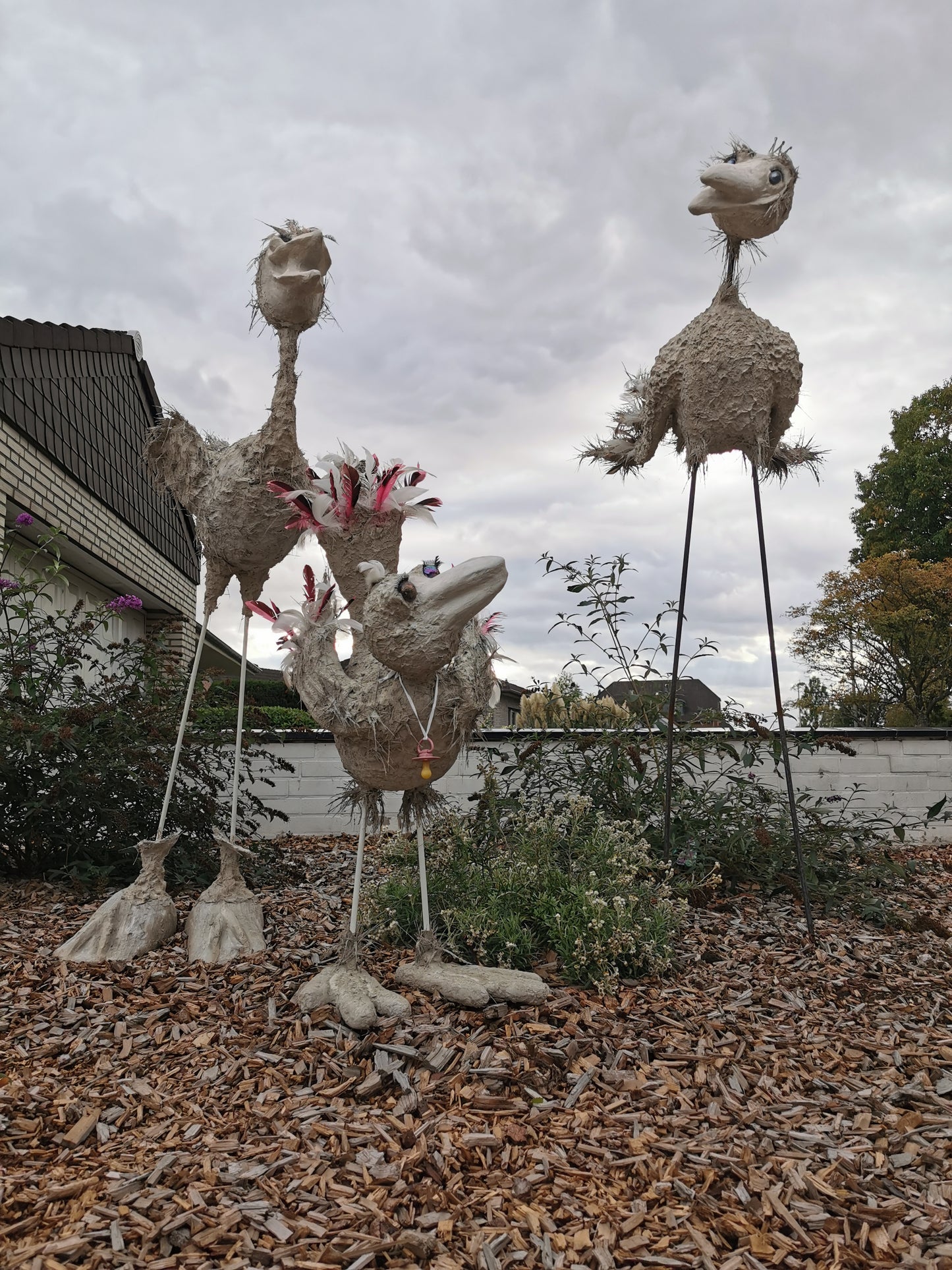 Kurs Vogel