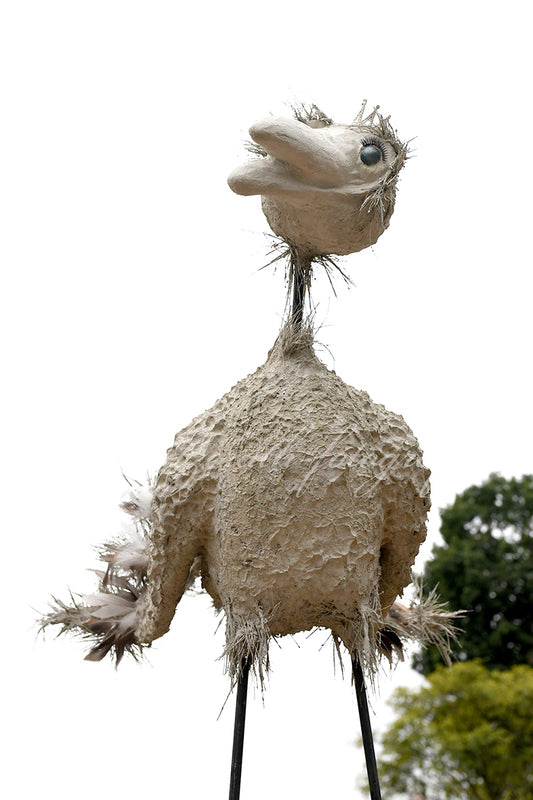 Kurs Vogel